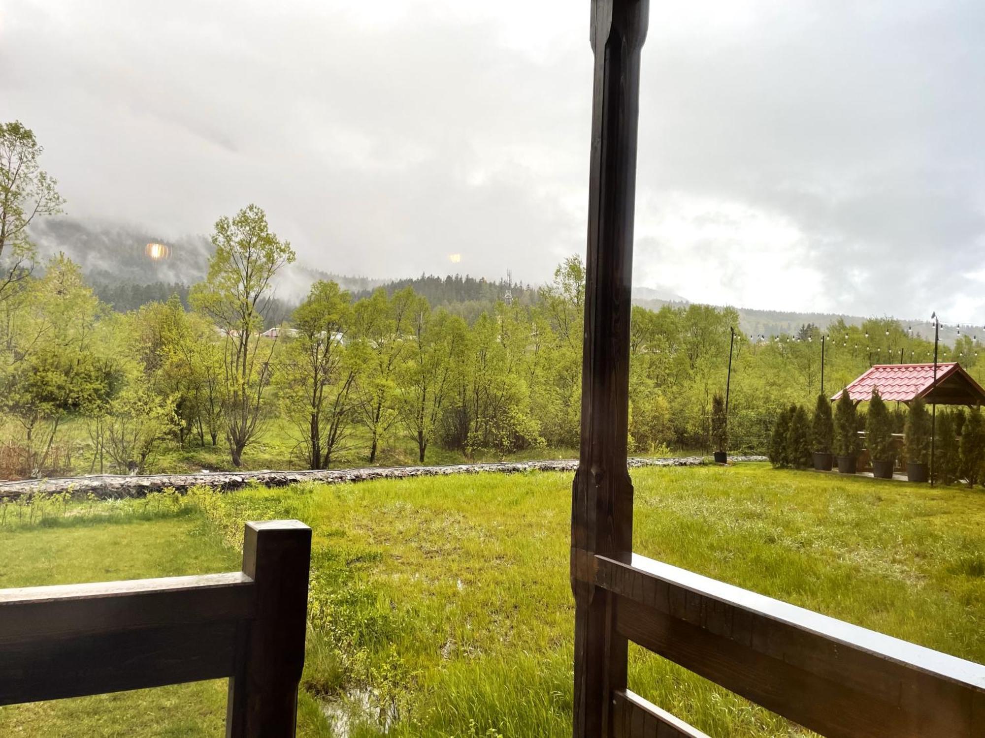 Cozy Riverfront Apartments With Garden And Mountain View Busteni Exterior photo